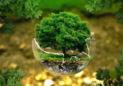 environment