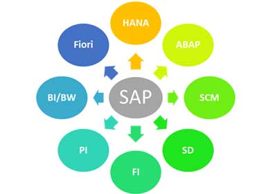 sapbusiness